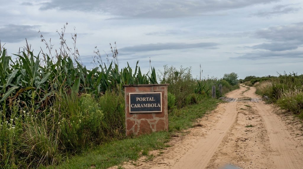 Portal Carambolas (Iberá)