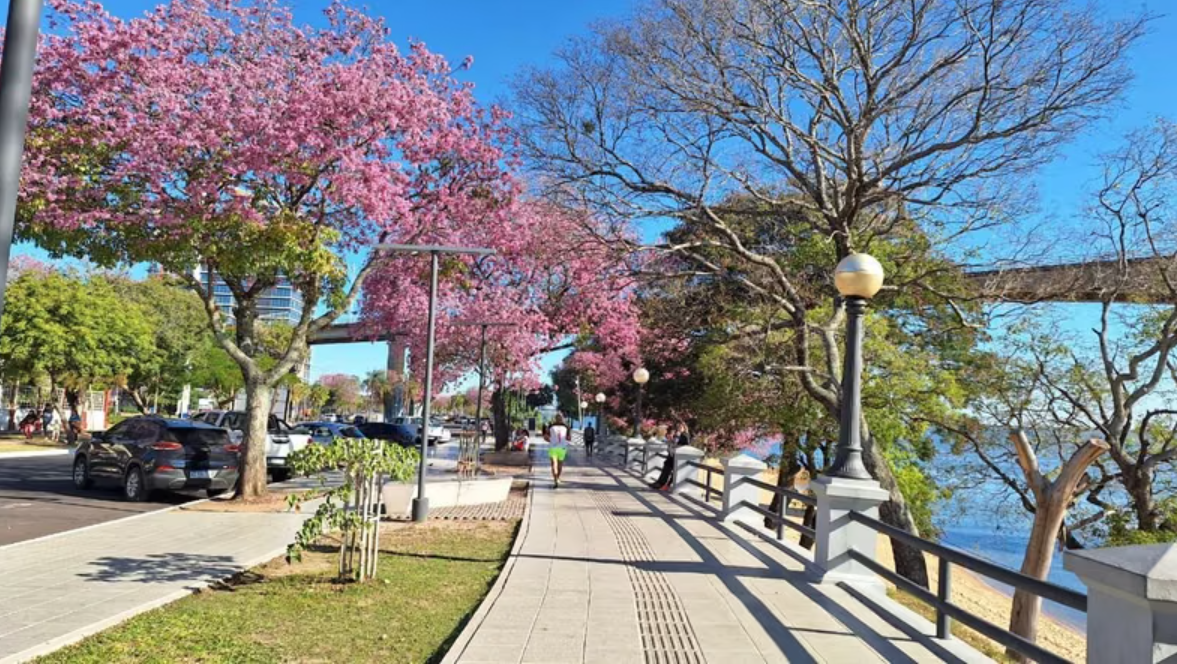 Costanera General San Martin